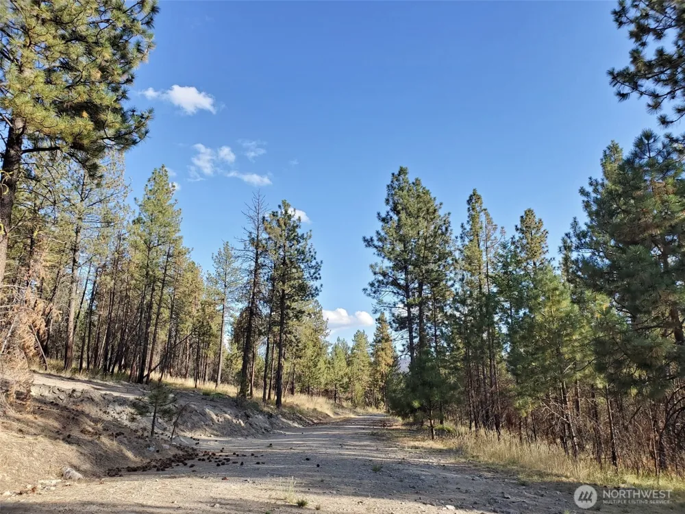 0 Long Horn Trail Riverside, WA 98849