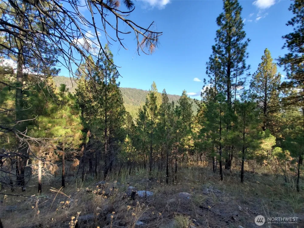 0 Long Horn Trail Riverside, WA 98849