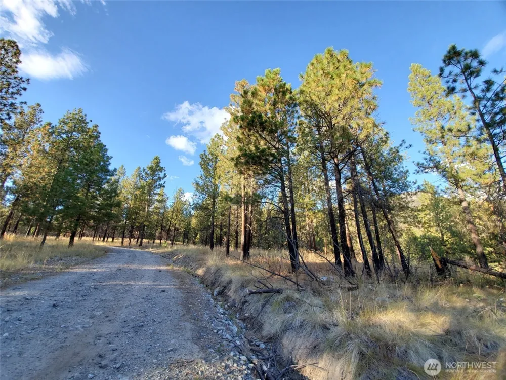 0 Long Horn Trail Riverside, WA 98849