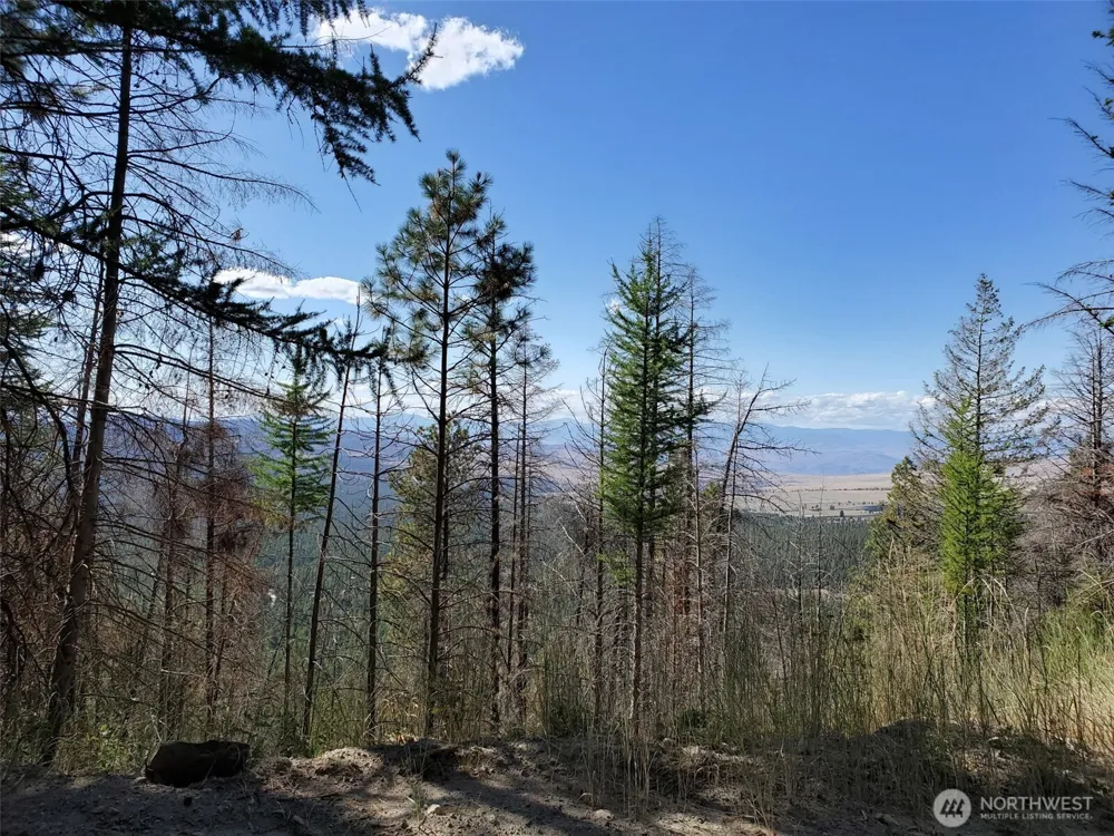 0 Long Horn Trail Riverside, WA 98849