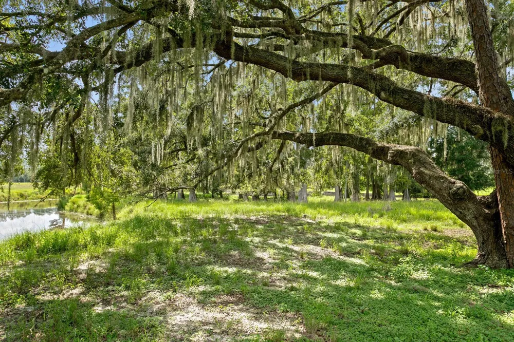 7850 FOUR PINES ROAD Plant City, FL 33565