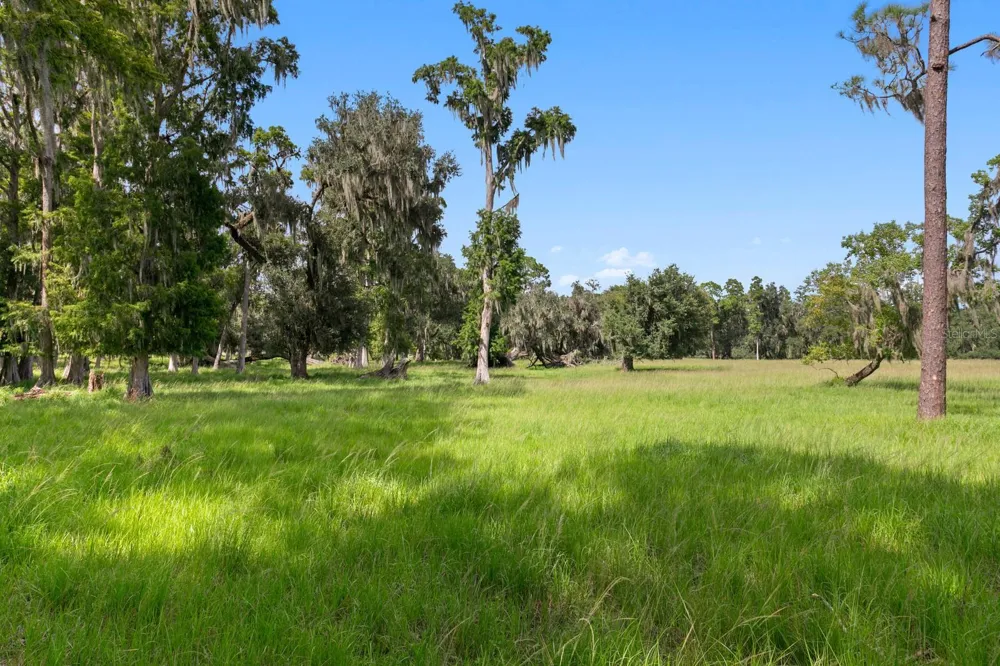 7850 FOUR PINES ROAD Plant City, FL 33565