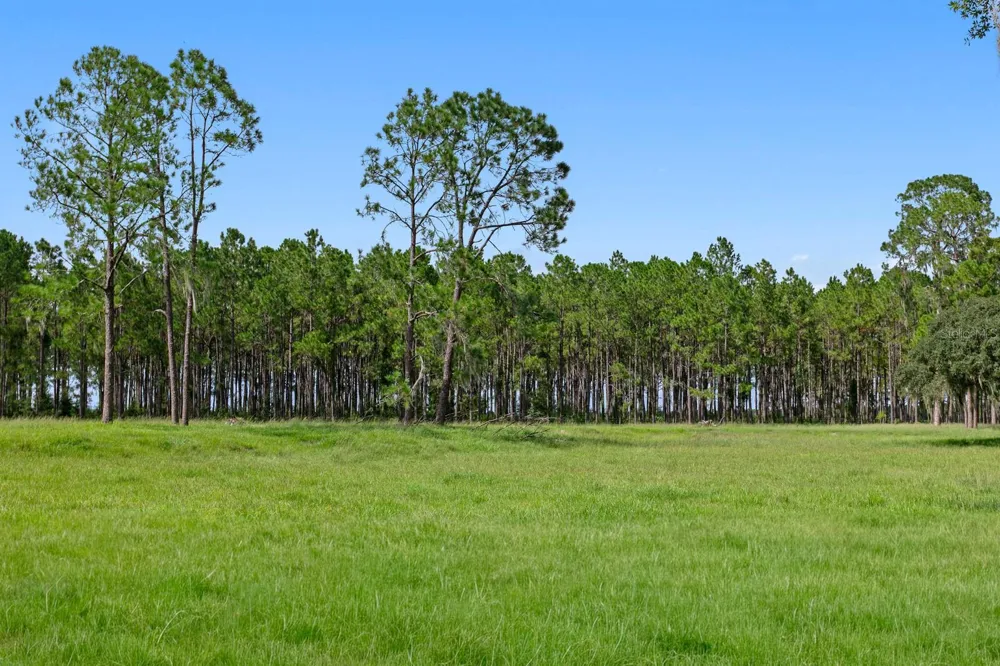 7850 FOUR PINES ROAD Plant City, FL 33565