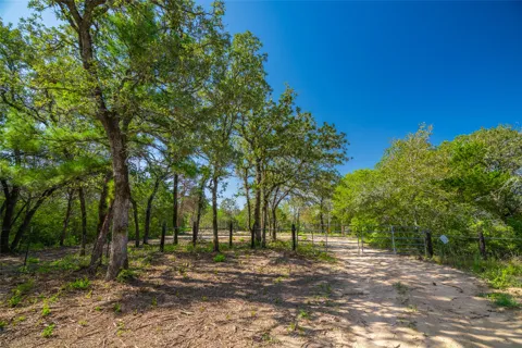 1247 Sand Hills Road