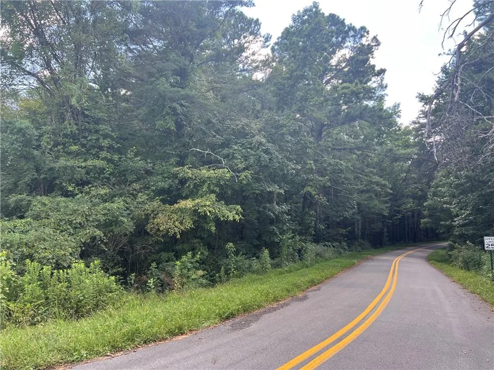 0 Hwy 411 Rydal, GA 30171