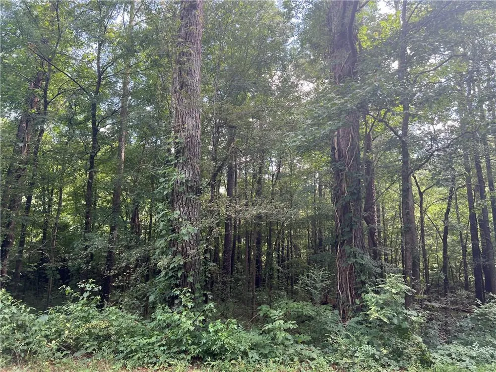 0 Hwy 411 Rydal, GA 30171