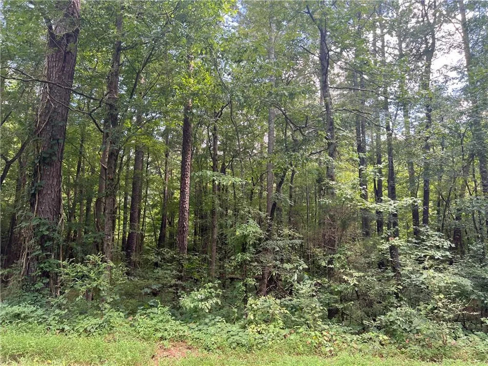 0 Hwy 411 Rydal, GA 30171