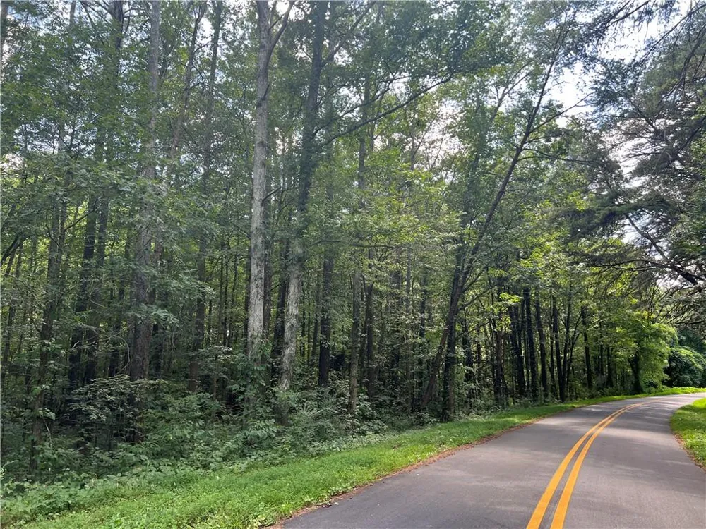 0 Hwy 411 Rydal, GA 30171