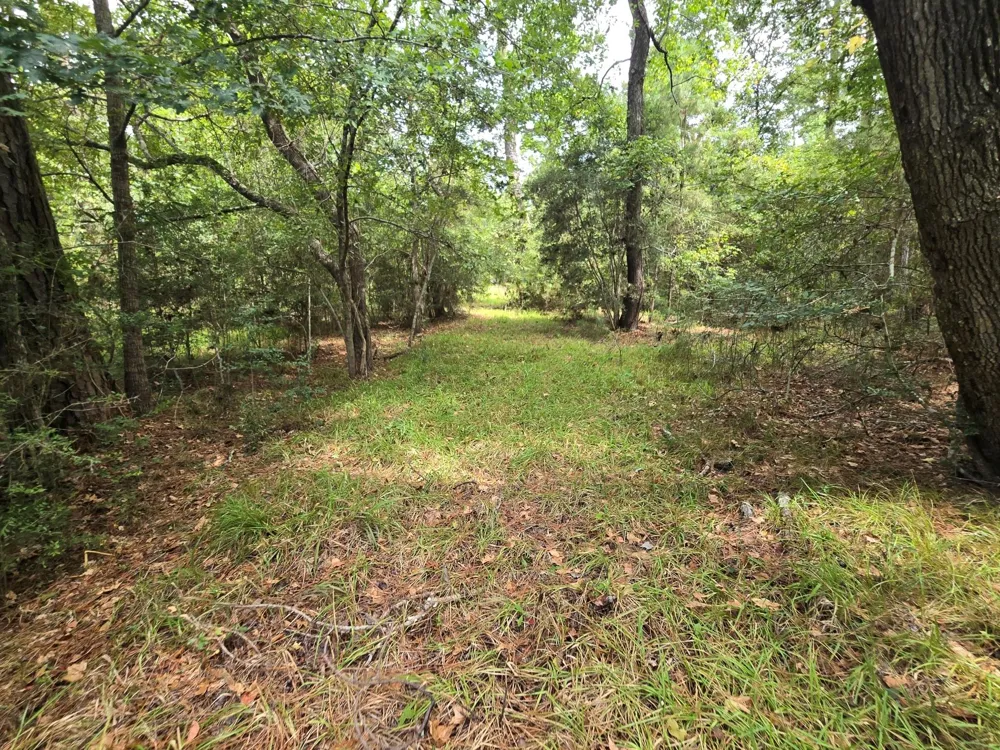 142 Idylwood Drive Goodrich, TX 77335
