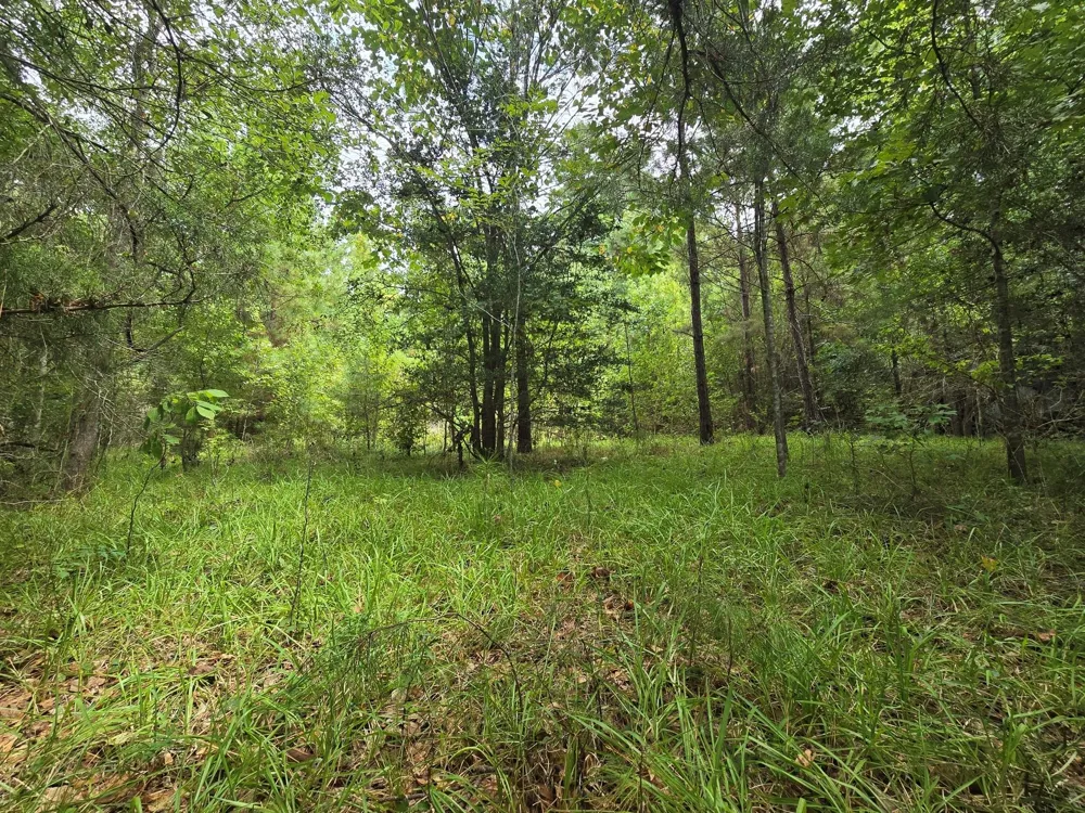 142 Idylwood Drive Goodrich, TX 77335