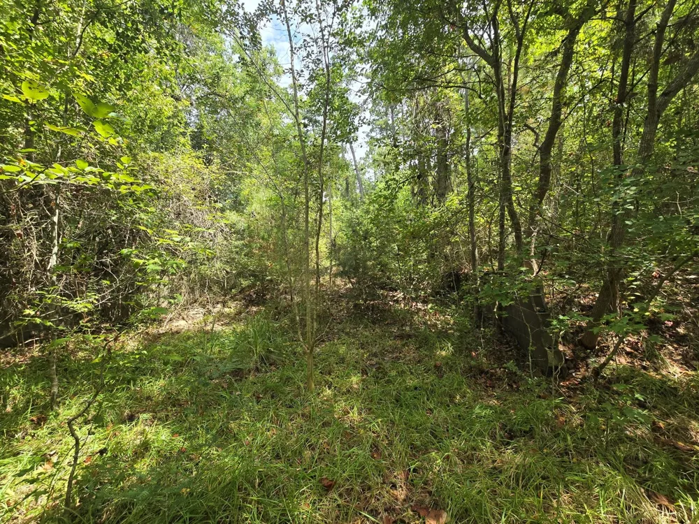 142 Idylwood Drive Goodrich, TX 77335