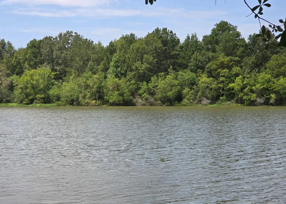 142 Idylwood Drive Goodrich, TX 77335