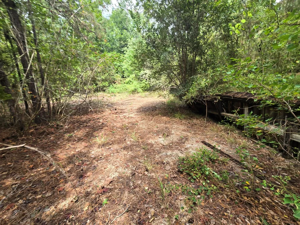 142 Idylwood Drive Goodrich, TX 77335