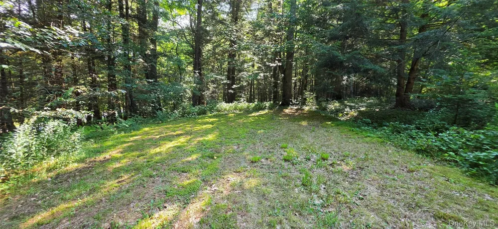 7606 NYS 52 Narrowsburg, NY 12764