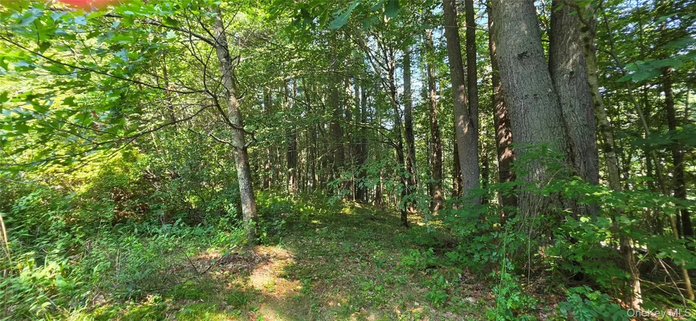 7606 NYS 52 Narrowsburg, NY 12764