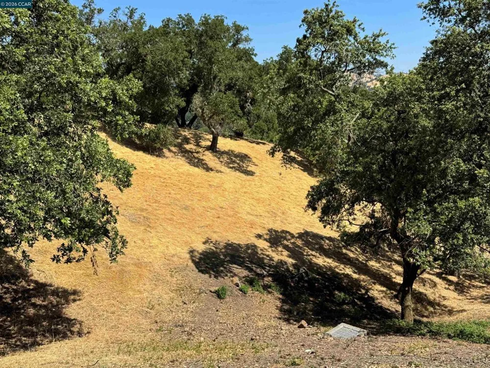 18 Diablo Oaks Way Lafayette, CA 94549
