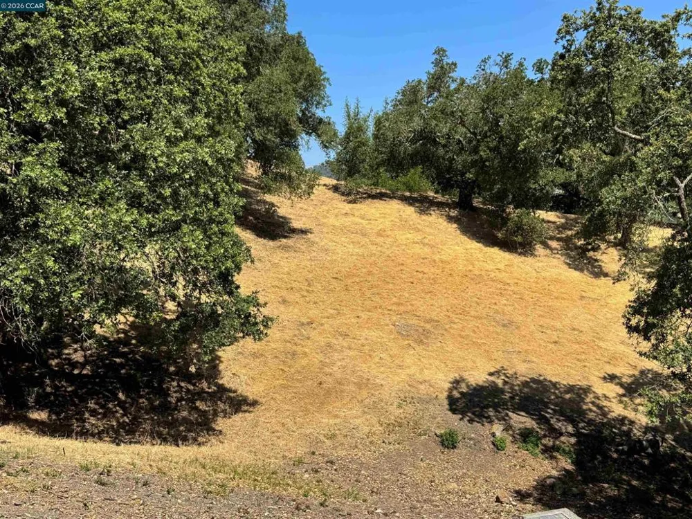 18 Diablo Oaks Way Lafayette, CA 94549
