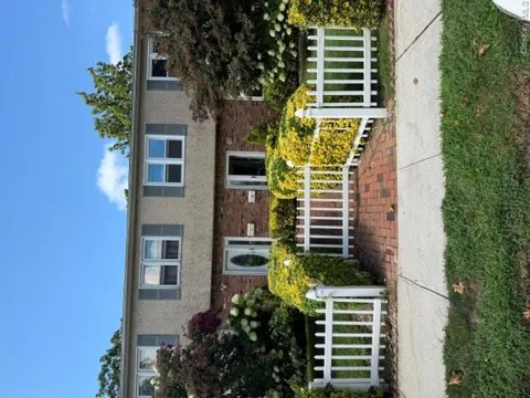 11 Chestnut Street