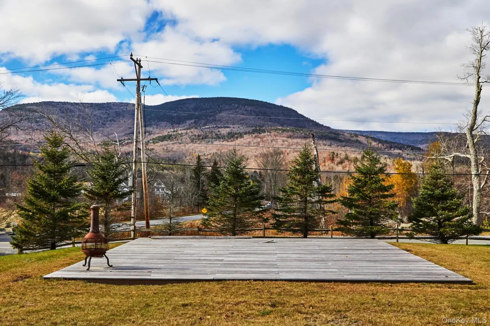 1681 Platte Clove Road Hunter, NY 12442