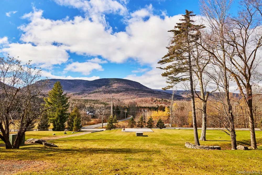 1681 Platte Clove Road Hunter, NY 12442