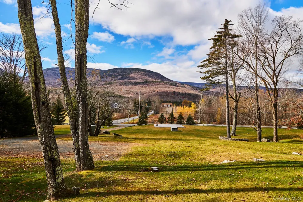 1681 Platte Clove Road Hunter, NY 12442