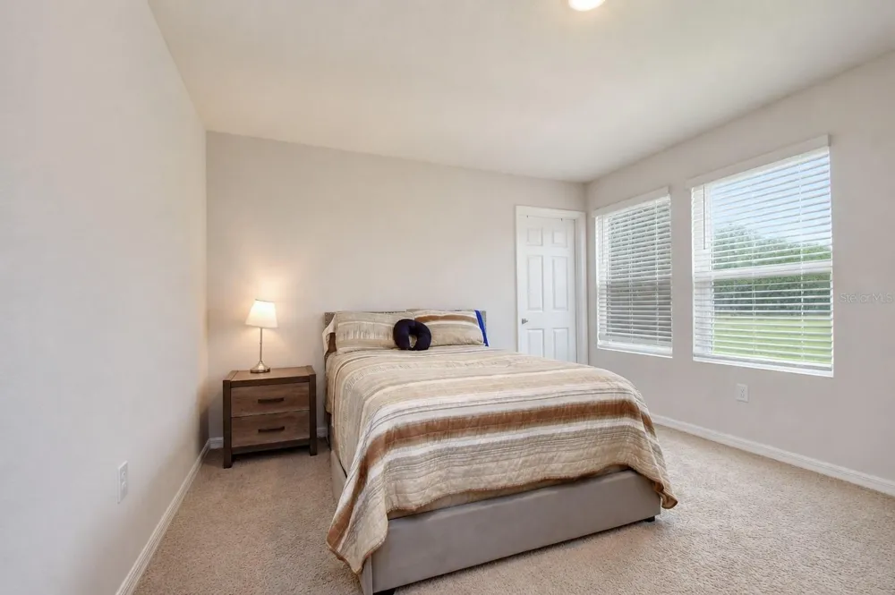 7917 PEACE LILY AVENUE Wesley Chapel, FL 33545