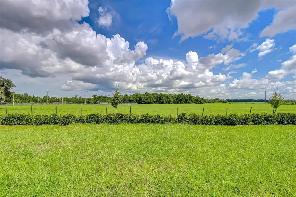 7917 PEACE LILY AVENUE Wesley Chapel, FL 33545