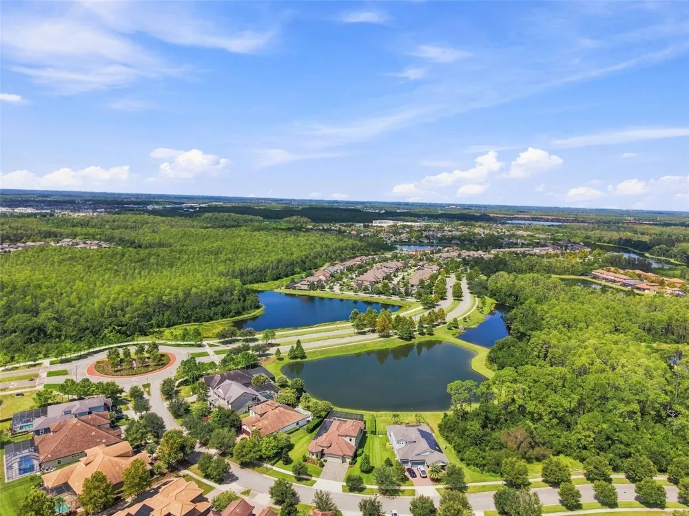 2967 BARBOUR TRAIL Odessa, FL 33556
