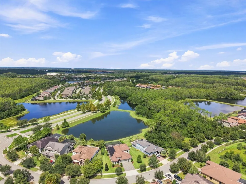 2967 BARBOUR TRAIL Odessa, FL 33556