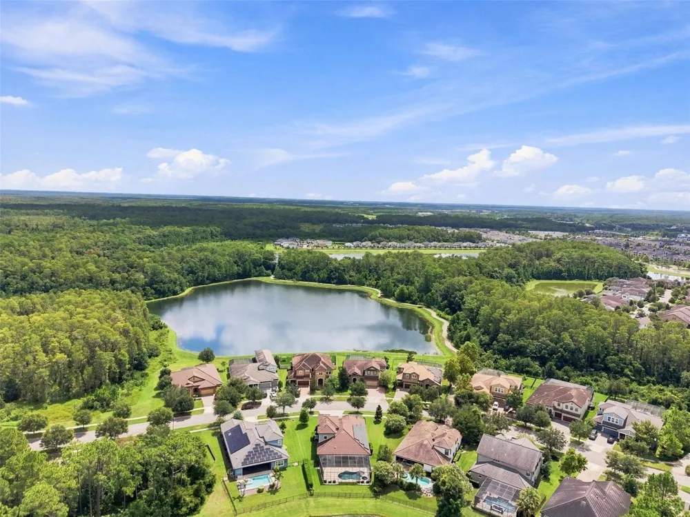 2967 BARBOUR TRAIL Odessa, FL 33556