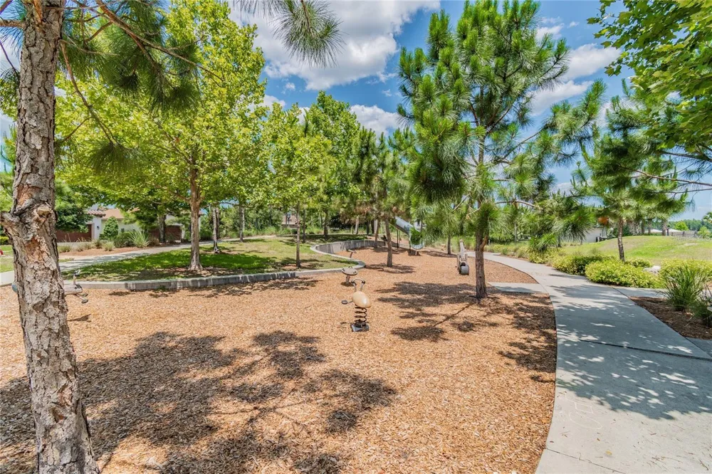 2967 BARBOUR TRAIL Odessa, FL 33556