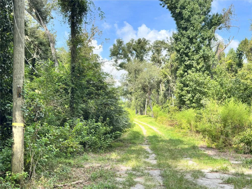 NW WEST SOUTH DRIVE Mayo, FL 32066