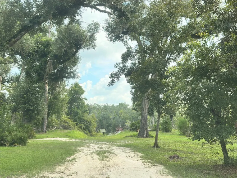 NW WEST SOUTH DRIVE Mayo, FL 32066