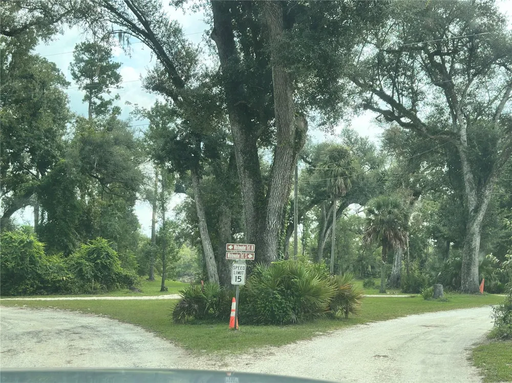 NW WEST SOUTH DRIVE Mayo, FL 32066