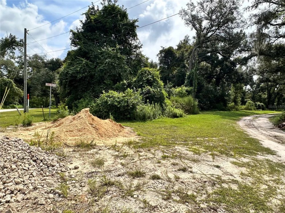 NW WEST SOUTH DRIVE Mayo, FL 32066