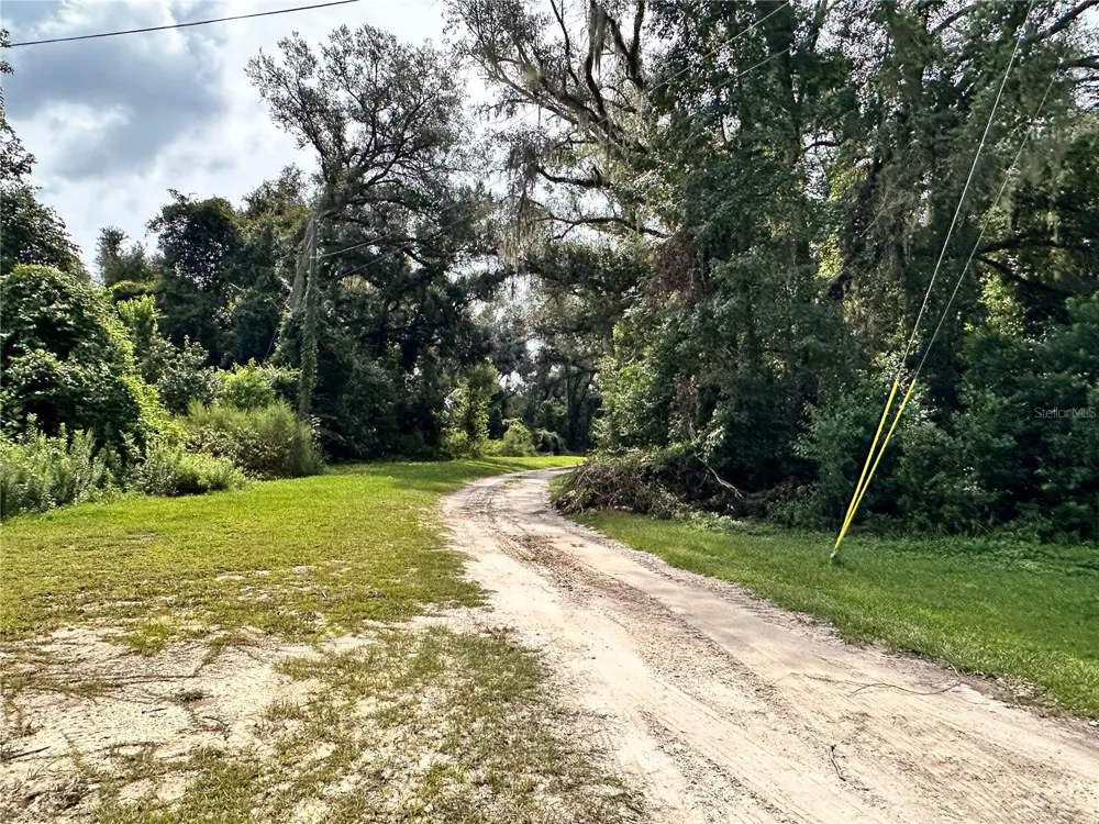 NW WEST SOUTH DRIVE Mayo, FL 32066