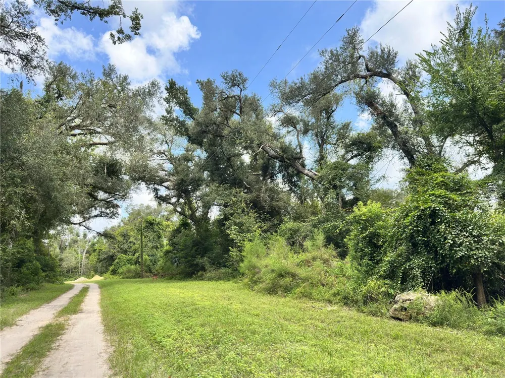 NW WEST SOUTH DRIVE Mayo, FL 32066