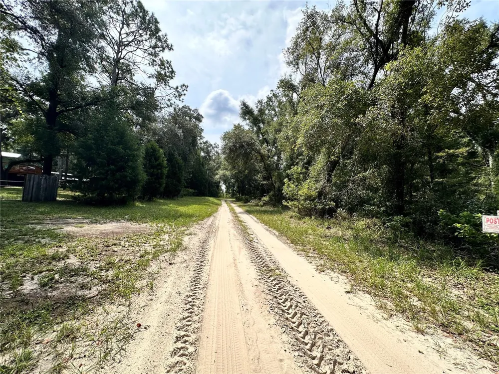NW WEST SOUTH DRIVE Mayo, FL 32066