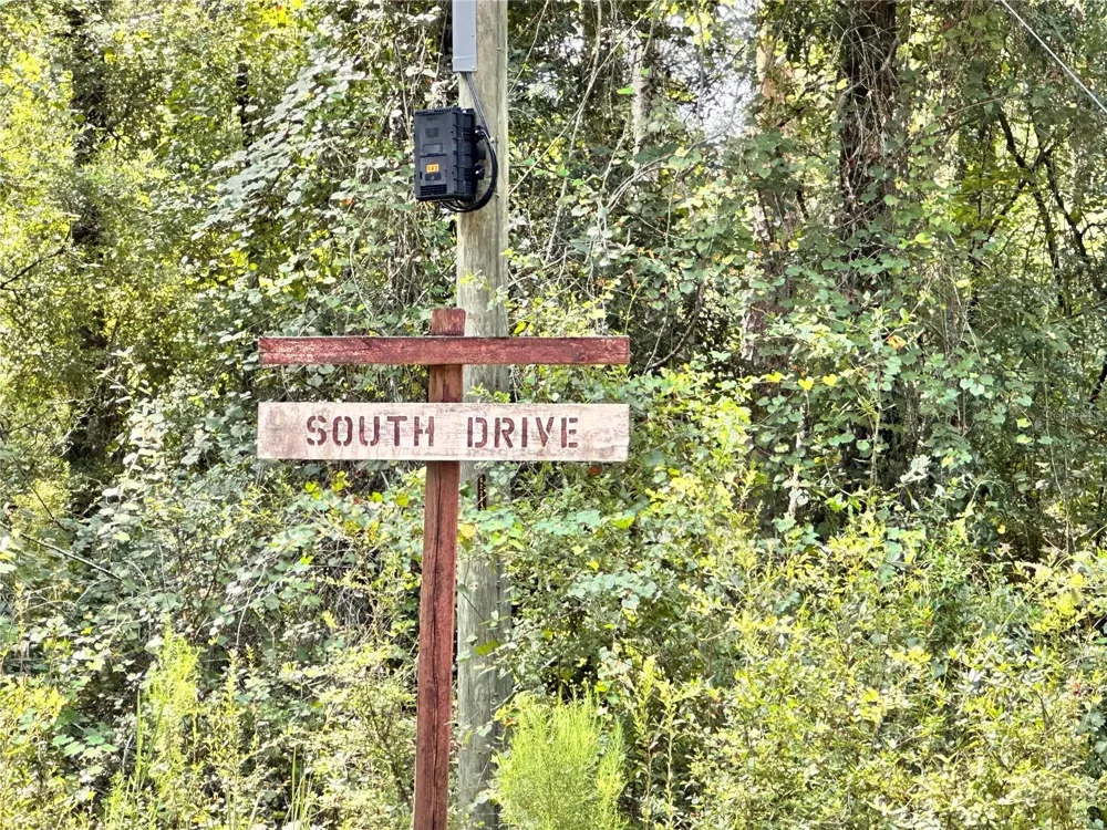NW WEST SOUTH DRIVE Mayo, FL 32066