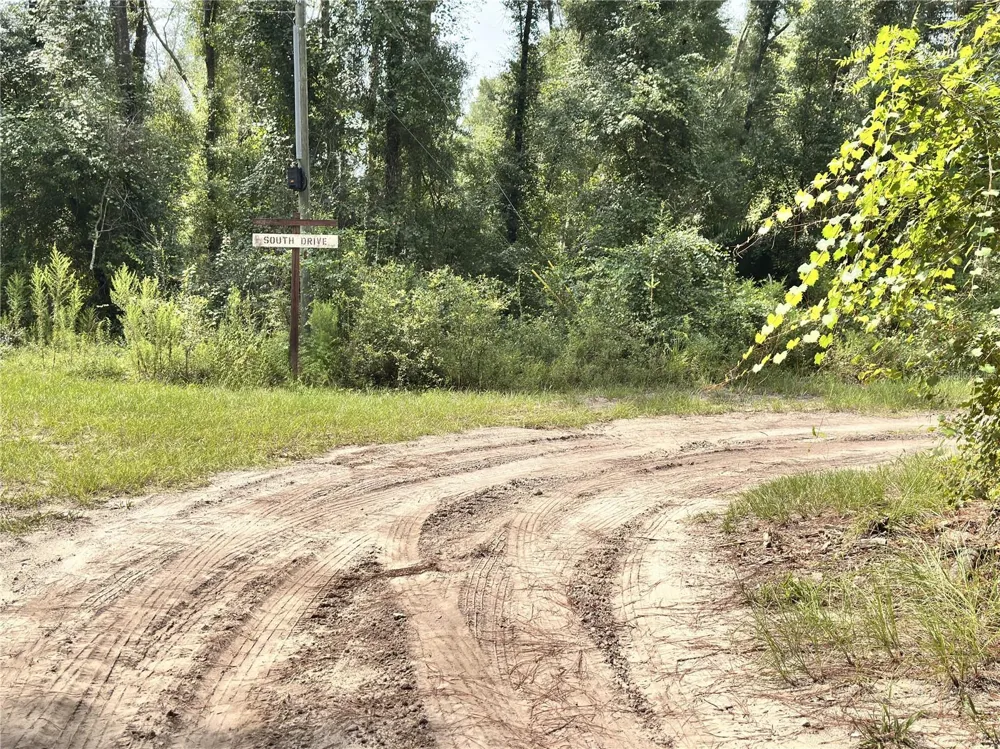 NW WEST SOUTH DRIVE Mayo, FL 32066