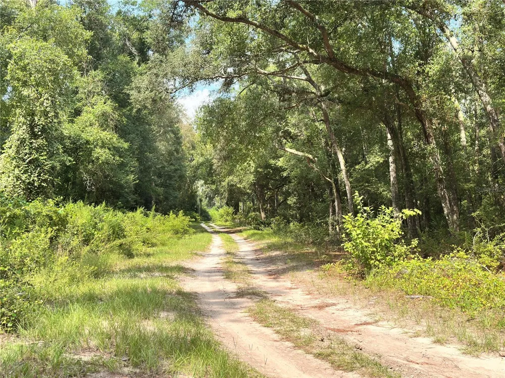 NW WEST SOUTH DRIVE Mayo, FL 32066