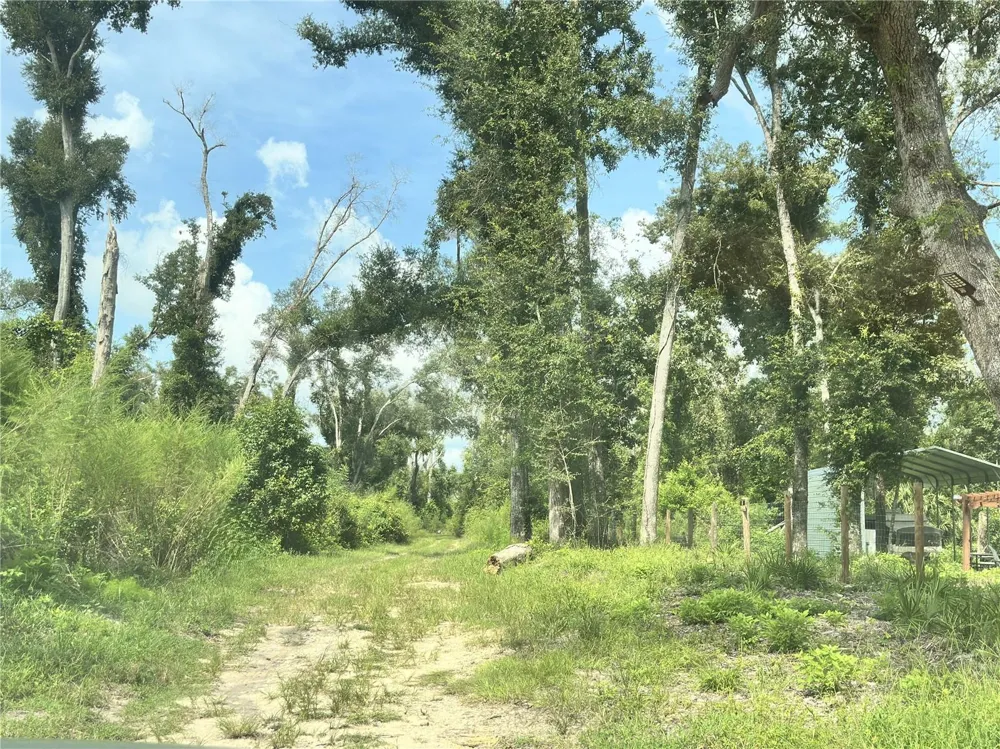 NW WEST SOUTH DRIVE Mayo, FL 32066