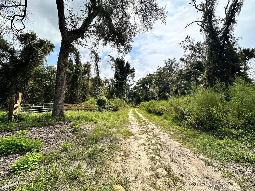 NW WEST SOUTH DRIVE Mayo, FL 32066