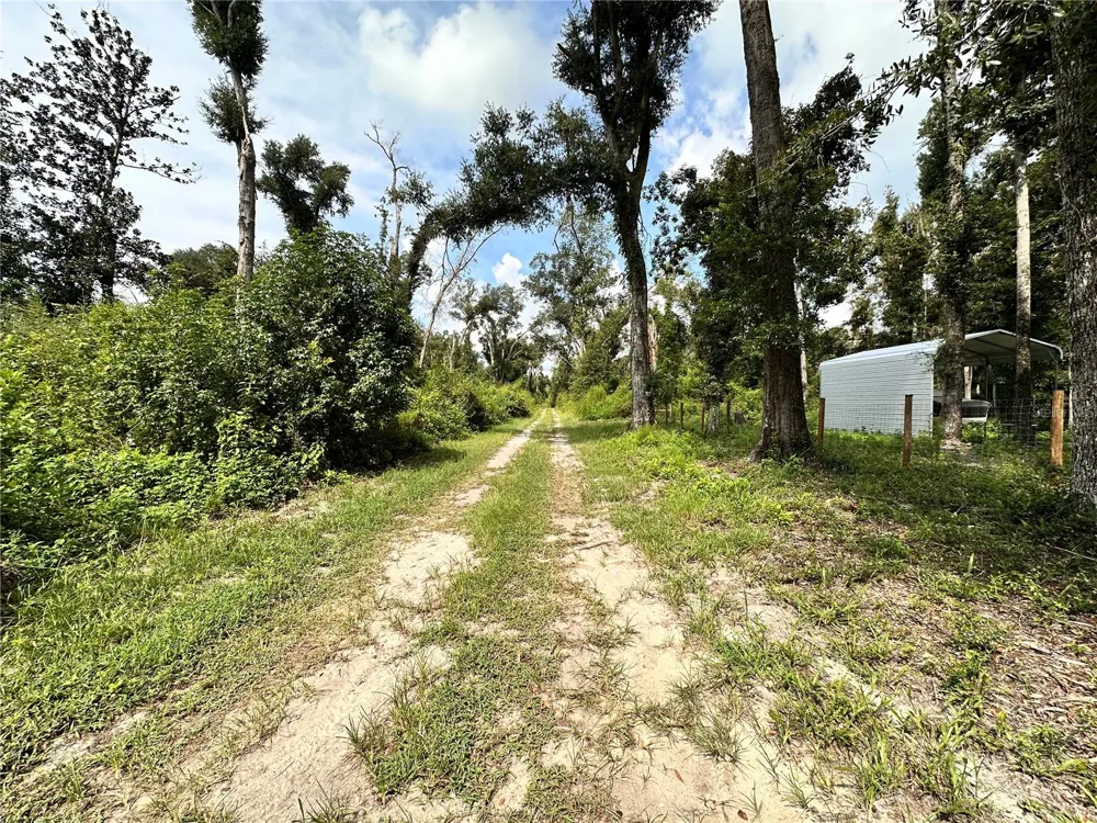 NW WEST SOUTH DRIVE Mayo, FL 32066