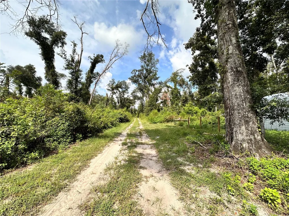 NW WEST SOUTH DRIVE Mayo, FL 32066