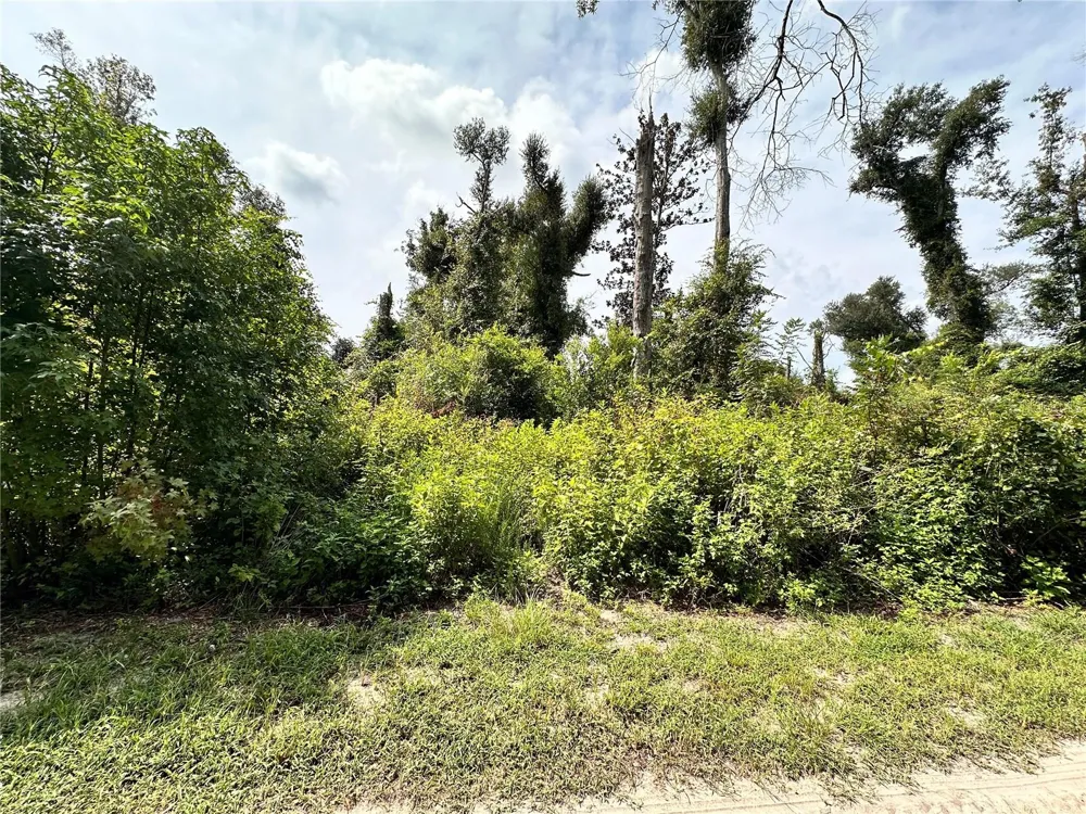 NW WEST SOUTH DRIVE Mayo, FL 32066