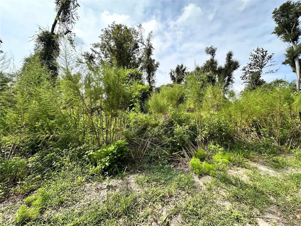 NW WEST SOUTH DRIVE Mayo, FL 32066