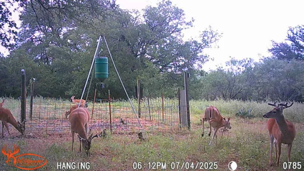 FM 3023 Goldthwaite, TX 76844