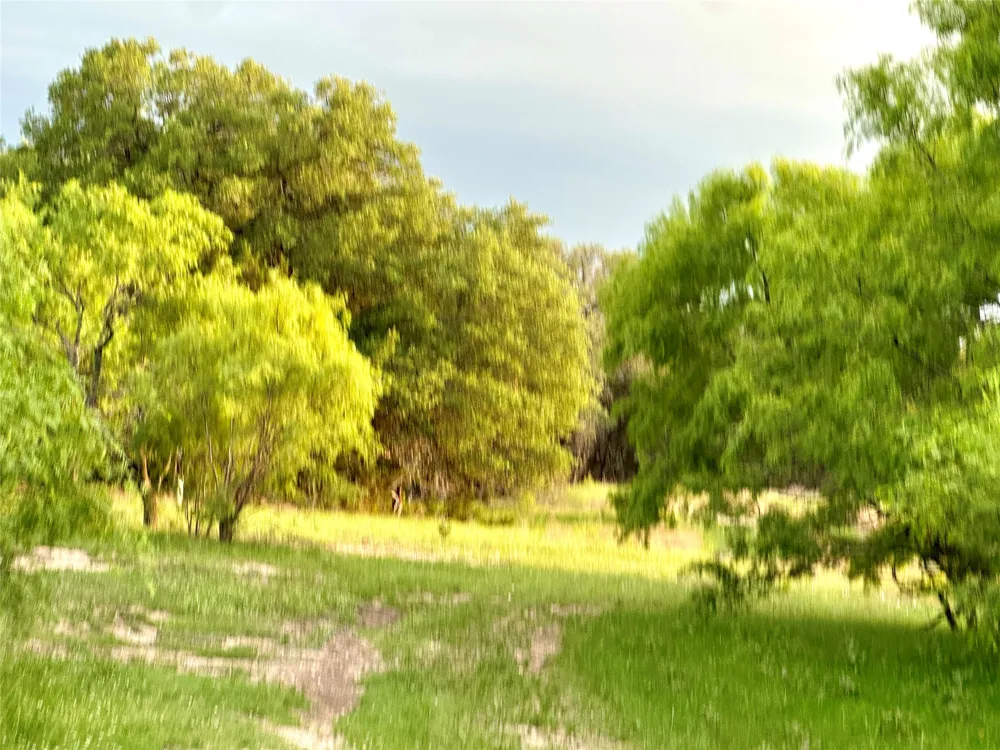 FM 3023 Goldthwaite, TX 76844