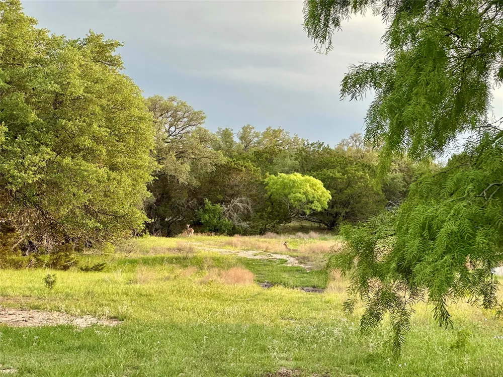 FM 3023 Goldthwaite, TX 76844